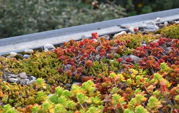 the cost of Cobbs Cross green roof installation