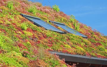 Cobbs Cross living roof systems